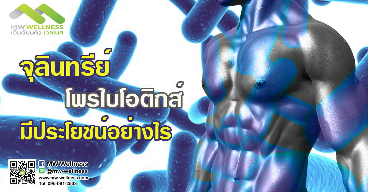 จุลินทรีย์ โพรไบโอติกส์ มีประโยชน์อย่างไร