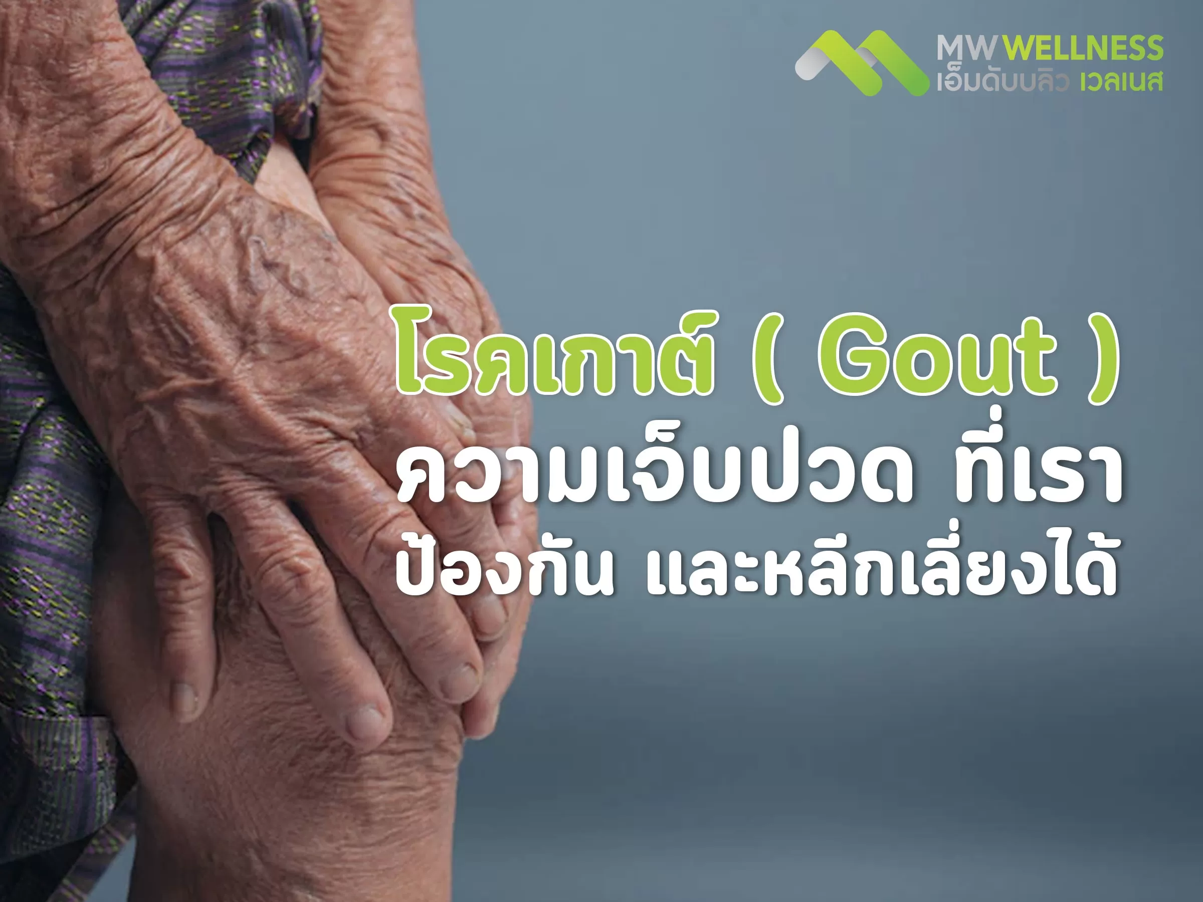 โรคเกาต์ ( Gout ) ความเจ็บปวด ที่เรา ป้องกัน และหลีกเลี่ยงได้